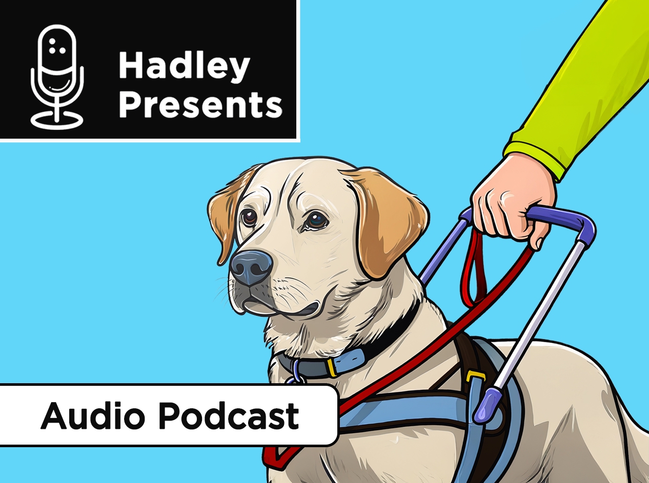 Close-up of a guide dog with a person's right hand holding the dog's harness and leash.