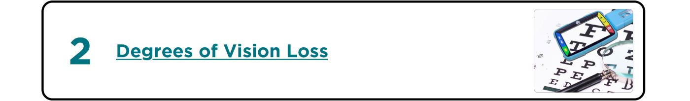 second most popular topic is Degrees of Vision Loss